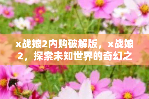 x战娘2内购破解版,x战娘2,探索未知世界的奇幻之旅 x战娘2内购破解版,x战娘2,探索未知世界的奇幻之旅