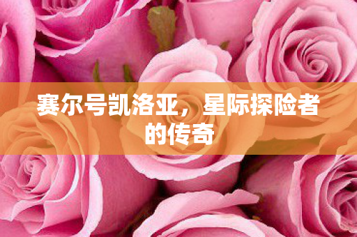 赛尔号凯洛亚,星际探险者的传奇 赛尔号凯洛亚,星际探险者的传奇
