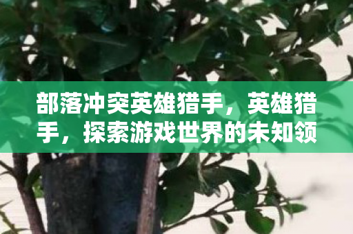 部落冲突英雄猎手,英雄猎手,探索游戏世界的未知领域 部落冲突英雄猎手,英雄猎手,探索游戏世界的未知领域