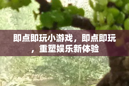 即点即玩小游戏,即点即玩,重塑娱乐新体验 即点即玩小游戏,即点即玩,重塑娱乐新体验