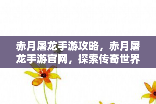赤月屠龙手游攻略，赤月屠龙手游官网，探索传奇世界的奇幻之旅