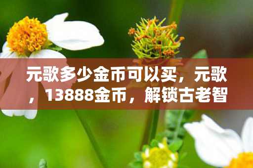 元歌多少金币可以买,元歌,13888金币,解锁古老智慧的魅力 元歌多少金币可以买,元歌,13888金币,解锁古老智慧的魅力