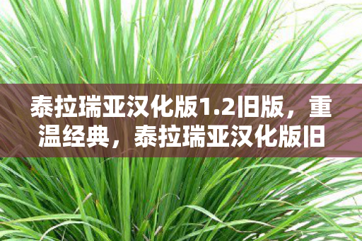 泰拉瑞亚汉化版1.2旧版,重温经典,泰拉瑞亚汉化版旧版本回顾 泰拉瑞亚汉化版1.2旧版,重温经典,泰拉瑞亚汉化版旧版本回顾