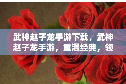 武神赵子龙手游下载，武神赵子龙手游，重温经典，领略三国风采