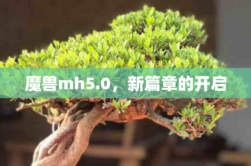 魔兽mh5.0,新篇章的开启 魔兽mh5.0,新篇章的开启
