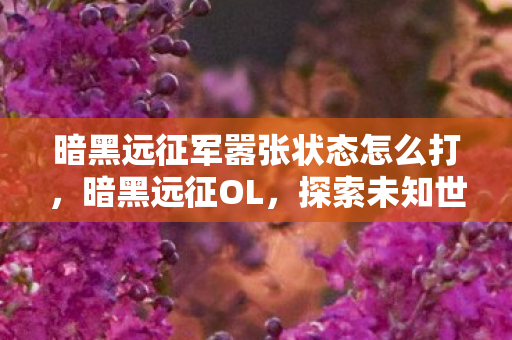 暗黑远征军嚣张状态怎么打,暗黑远征OL,探索未知世界的奇幻之旅 暗黑远征军嚣张状态怎么打,暗黑远征OL,探索未知世界的奇幻之旅