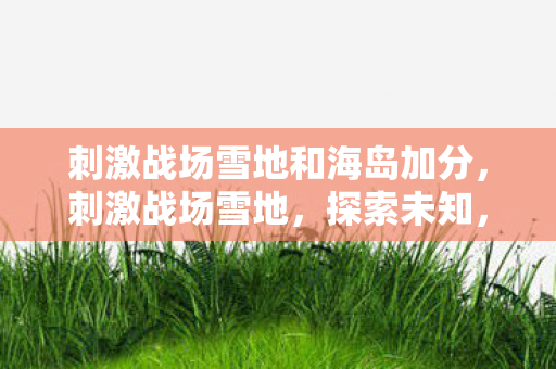 刺激战场雪地和海岛加分,刺激战场雪地,探索未知,挑战极限 刺激战场雪地和海岛加分,刺激战场雪地,探索未知,挑战极限