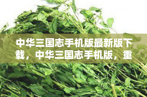 中华三国志手机版最新版下载，中华三国志手机版，重塑经典，掌中三国