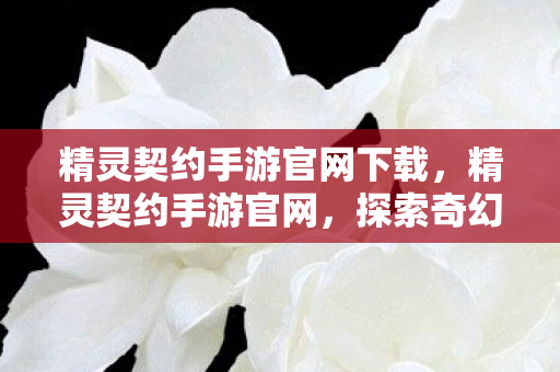 精灵契约手游官网下载,精灵契约手游官网,探索奇幻世界的奇妙之旅 精灵契约手游官网下载,精灵契约手游官网,探索奇幻世界的奇妙之旅
