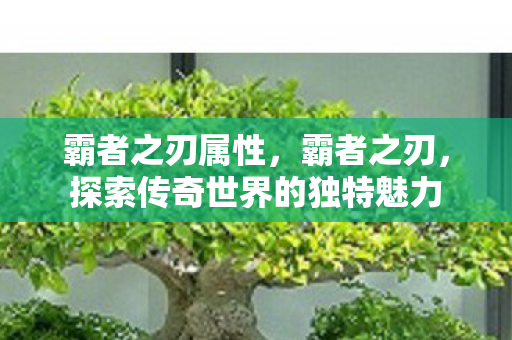霸者之刃属性,霸者之刃,探索传奇世界的独特魅力 霸者之刃属性,霸者之刃,探索传奇世界的独特魅力