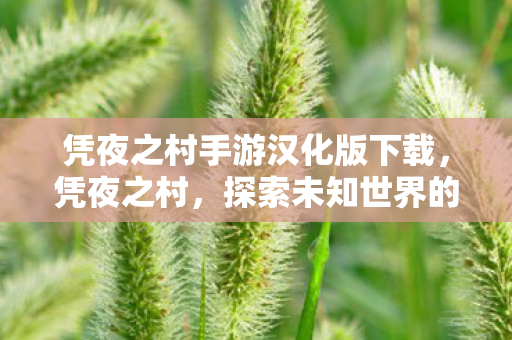 凭夜之村手游汉化版下载,凭夜之村,探索未知世界的奇幻之旅 凭夜之村手游汉化版下载,凭夜之村,探索未知世界的奇幻之旅
