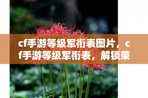 cf手游等级军衔表图片，cf手游等级军衔表，解锁荣耀之路的里程碑
