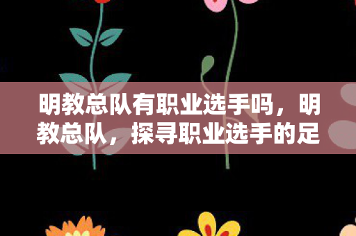 明教总队有职业选手吗,明教总队,探寻职业选手的足迹 明教总队有职业选手吗,明教总队,探寻职业选手的足迹