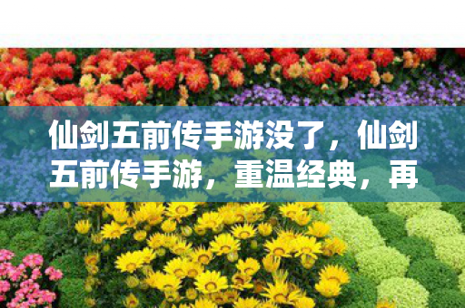仙剑五前传手游没了,仙剑五前传手游,重温经典,再续前缘 仙剑五前传手游没了,仙剑五前传手游,重温经典,再续前缘