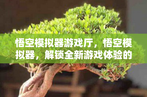 悟空模拟器游戏厅,悟空模拟器,解锁全新游戏体验的利器 悟空模拟器游戏厅,悟空模拟器,解锁全新游戏体验的利器