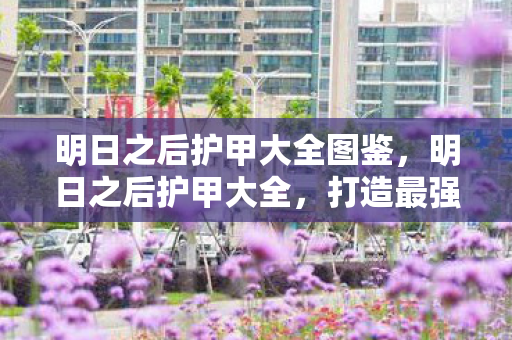 明日之后护甲大全图鉴，明日之后护甲大全，打造最强防御的终极指南
