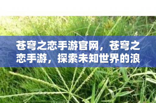 苍穹之恋手游官网,苍穹之恋手游,探索未知世界的浪漫之旅 苍穹之恋手游官网,苍穹之恋手游,探索未知世界的浪漫之旅