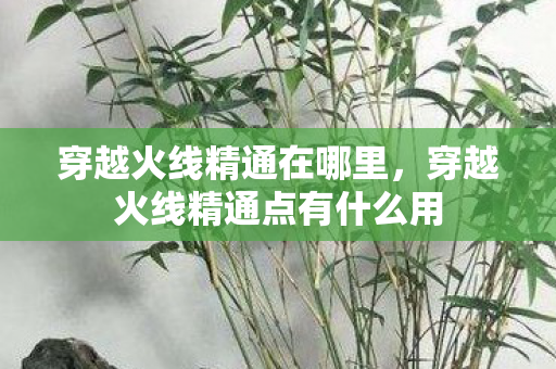 穿越火线精通在哪里，穿越火线精通点有什么用