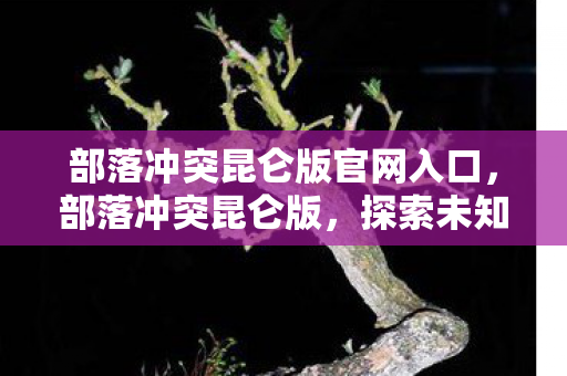 部落冲突昆仑版官网入口，部落冲突昆仑版，探索未知，挑战极限
