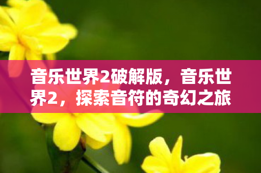 音乐世界2破解版,音乐世界2,探索音符的奇幻之旅 音乐世界2破解版,音乐世界2,探索音符的奇幻之旅