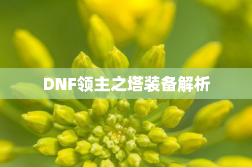 DNF领主之塔装备解析