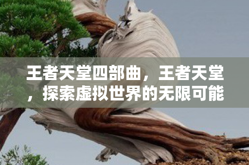 王者天堂四部曲，王者天堂，探索虚拟世界的无限可能