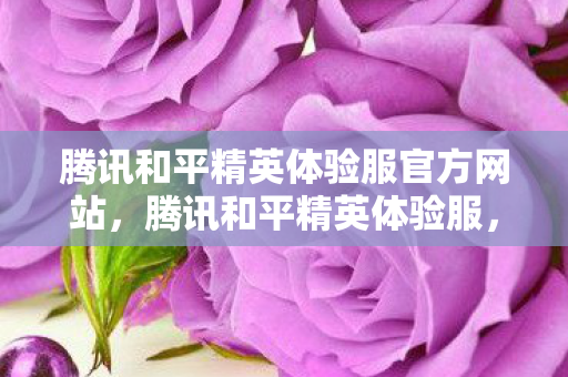 腾讯和平精英体验服官方网站，腾讯和平精英体验服，探索前沿，尽享游戏新体验