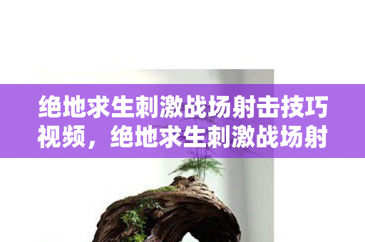 绝地求生刺激战场射击技巧视频,绝地求生刺激战场射击技巧 绝地求生刺激战场射击技巧视频,绝地求生刺激战场射击技巧