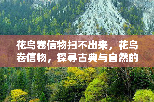 花鸟卷信物扫不出来,花鸟卷信物,探寻古典与自然的诗意融合 花鸟卷信物扫不出来,花鸟卷信物,探寻古典与自然的诗意融合