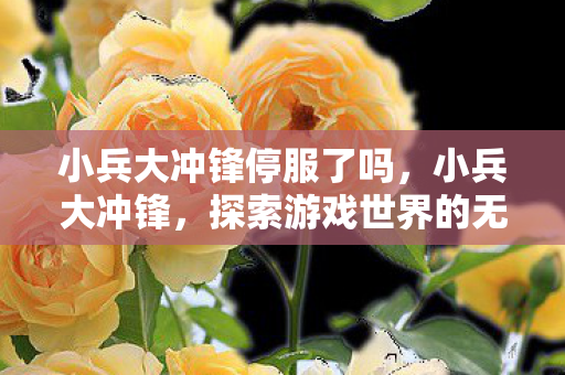 小兵大冲锋停服了吗,小兵大冲锋,探索游戏世界的无限可能 小兵大冲锋停服了吗,小兵大冲锋,探索游戏世界的无限可能