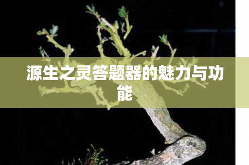 源生之灵答题器的魅力与功能