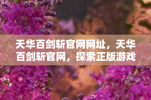 天华百剑斩官网网址,天华百剑斩官网,探索正版游戏的魅力与无限可能 天华百剑斩官网网址,天华百剑斩官网,探索正版游戏的魅力与无限可能