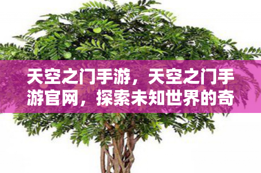 天空之门手游,天空之门手游官网,探索未知世界的奇幻之旅 天空之门手游,天空之门手游官网,探索未知世界的奇幻之旅