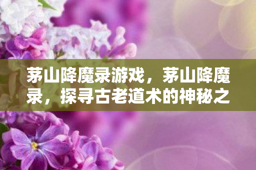茅山降魔录游戏,茅山降魔录,探寻古老道术的神秘之旅 茅山降魔录游戏,茅山降魔录,探寻古老道术的神秘之旅