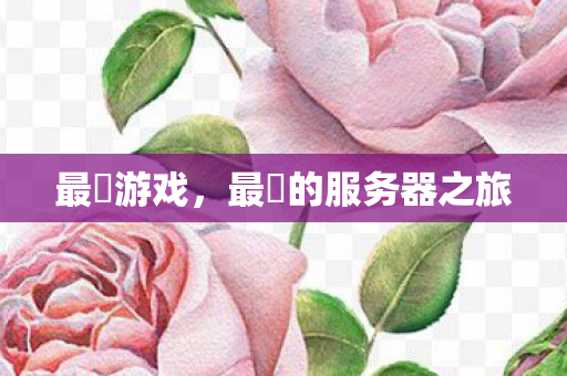 最囧游戏,最囧的服务器之旅 最囧游戏,最囧的服务器之旅