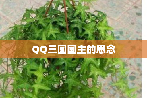 QQ三国国主的思念 QQ三国国主的思念