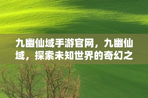 九幽仙域手游官网，九幽仙域，探索未知世界的奇幻之旅