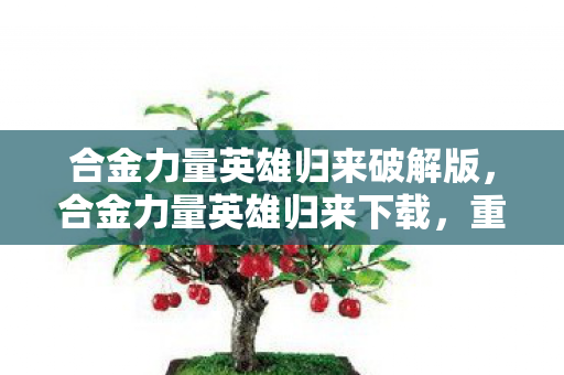 合金力量英雄归来破解版,合金力量英雄归来下载,重温经典,再燃战火 合金力量英雄归来破解版,合金力量英雄归来下载,重温经典,再燃战火