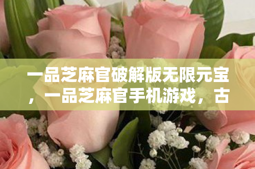 一品芝麻官破解版无限元宝,一品芝麻官手机游戏,古风韵味与策略并重的宫廷冒险 一品芝麻官破解版无限元宝,一品芝麻官手机游戏,古风韵味与策略并重的宫廷冒险