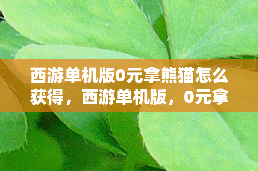 西游单机版0元拿熊猫怎么获得,西游单机版,0元拿熊猫,解锁全新游戏体验 西游单机版0元拿熊猫怎么获得,西游单机版,0元拿熊猫,解锁全新游戏体验