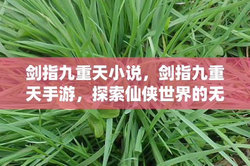 剑指九重天小说,剑指九重天手游,探索仙侠世界的无尽魅力 剑指九重天小说,剑指九重天手游,探索仙侠世界的无尽魅力