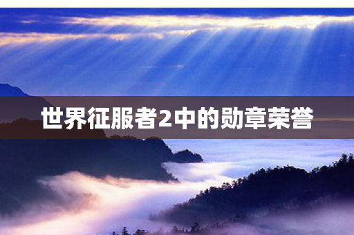世界征服者2中的勋章荣誉 世界征服者2中的勋章荣誉