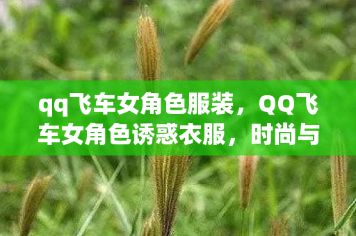 qq飞车女角色服装,QQ飞车女角色诱惑衣服,时尚与速度的完美碰撞 qq飞车女角色服装,QQ飞车女角色诱惑衣服,时尚与速度的完美碰撞