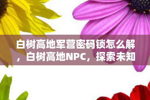 白树高地军营密码锁怎么解,白树高地NPC,探索未知世界的神秘向导 白树高地军营密码锁怎么解,白树高地NPC,探索未知世界的神秘向导