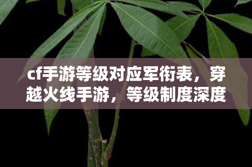 cf手游等级对应军衔表，穿越火线手游，等级制度深度解析