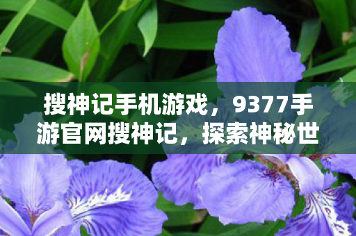 搜神记手机游戏，9377手游官网搜神记，探索神秘世界的奇妙之旅
