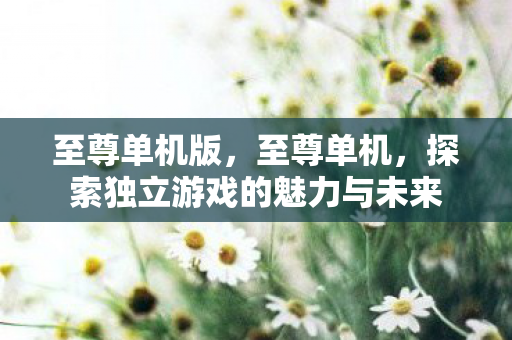 至尊单机版,至尊单机,探索独立游戏的魅力与未来 至尊单机版,至尊单机,探索独立游戏的魅力与未来
