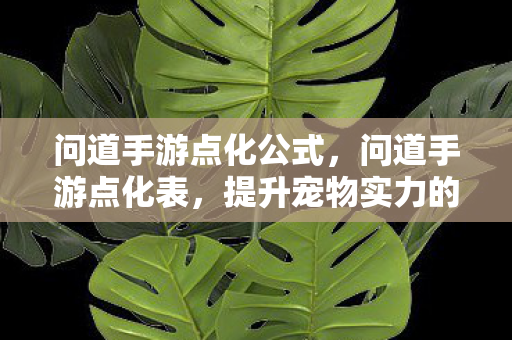 问道手游点化公式,问道手游点化表,提升宠物实力的关键指南 问道手游点化公式,问道手游点化表,提升宠物实力的关键指南