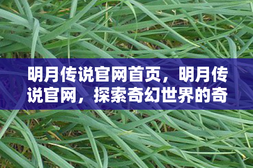 明月传说官网首页,明月传说官网,探索奇幻世界的奇妙之旅 明月传说官网首页,明月传说官网,探索奇幻世界的奇妙之旅