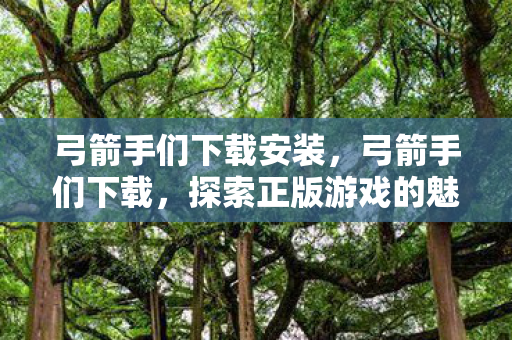 弓箭手们下载安装，弓箭手们下载，探索正版游戏的魅力与无限可能